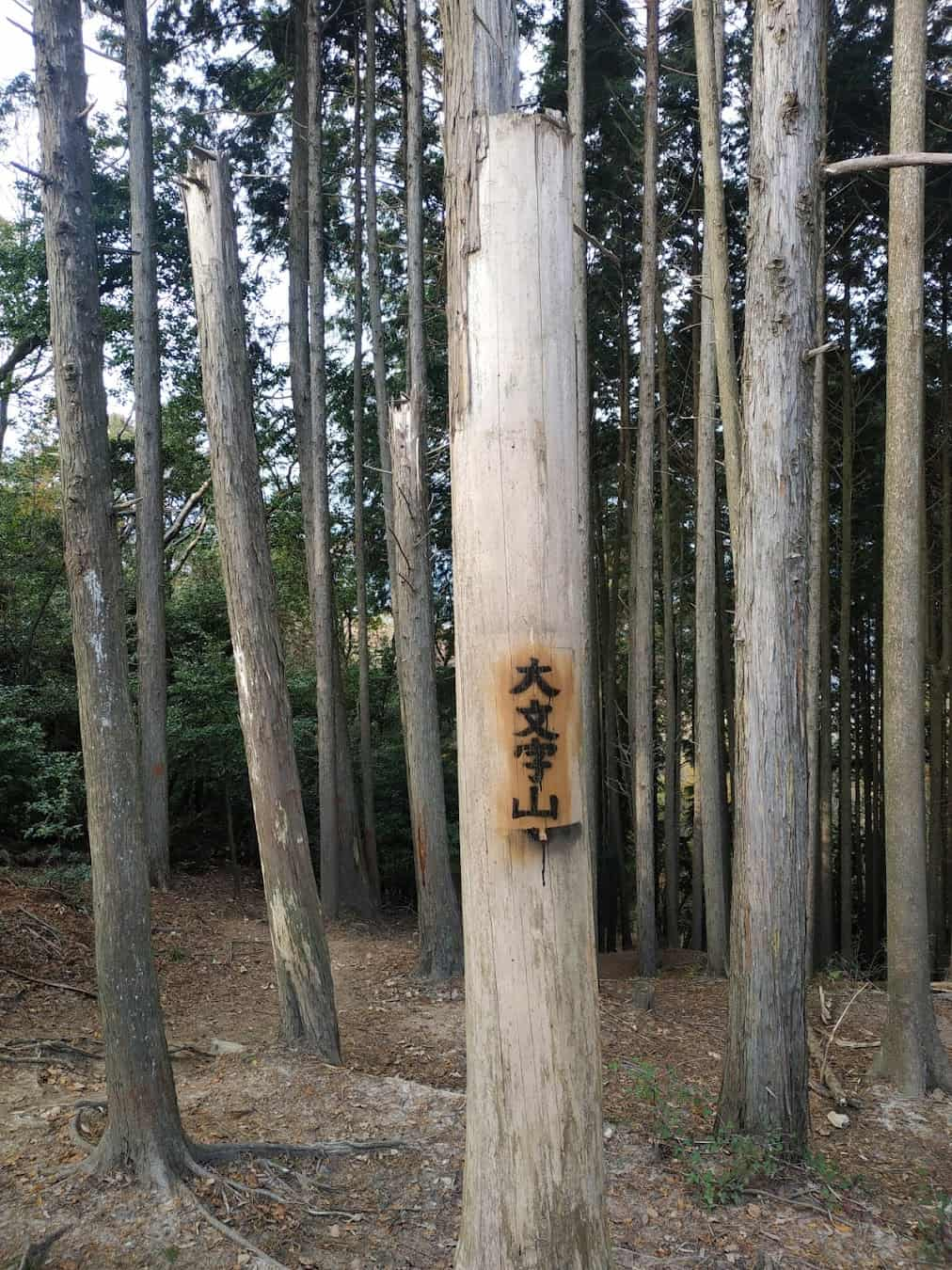 Daimonji Mountain Forest, Japan