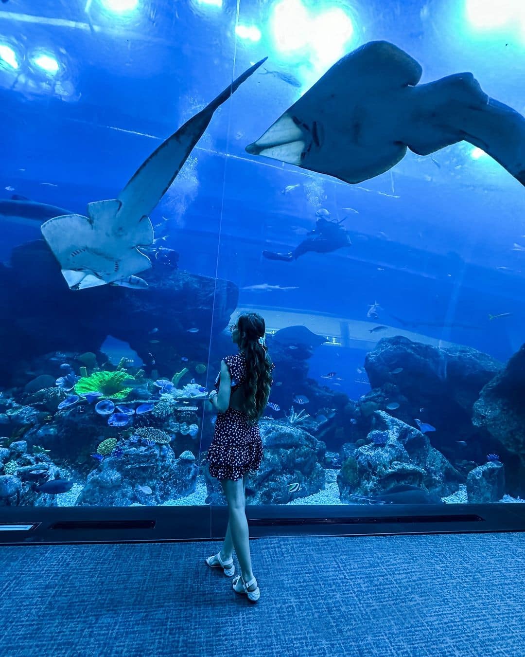 Dubai Aquarium