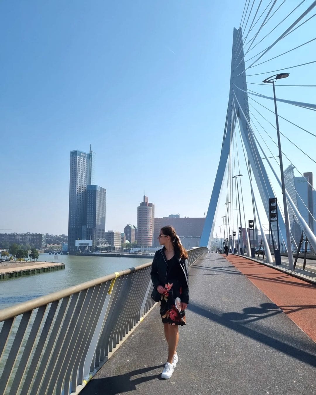 Erasmus Bridge