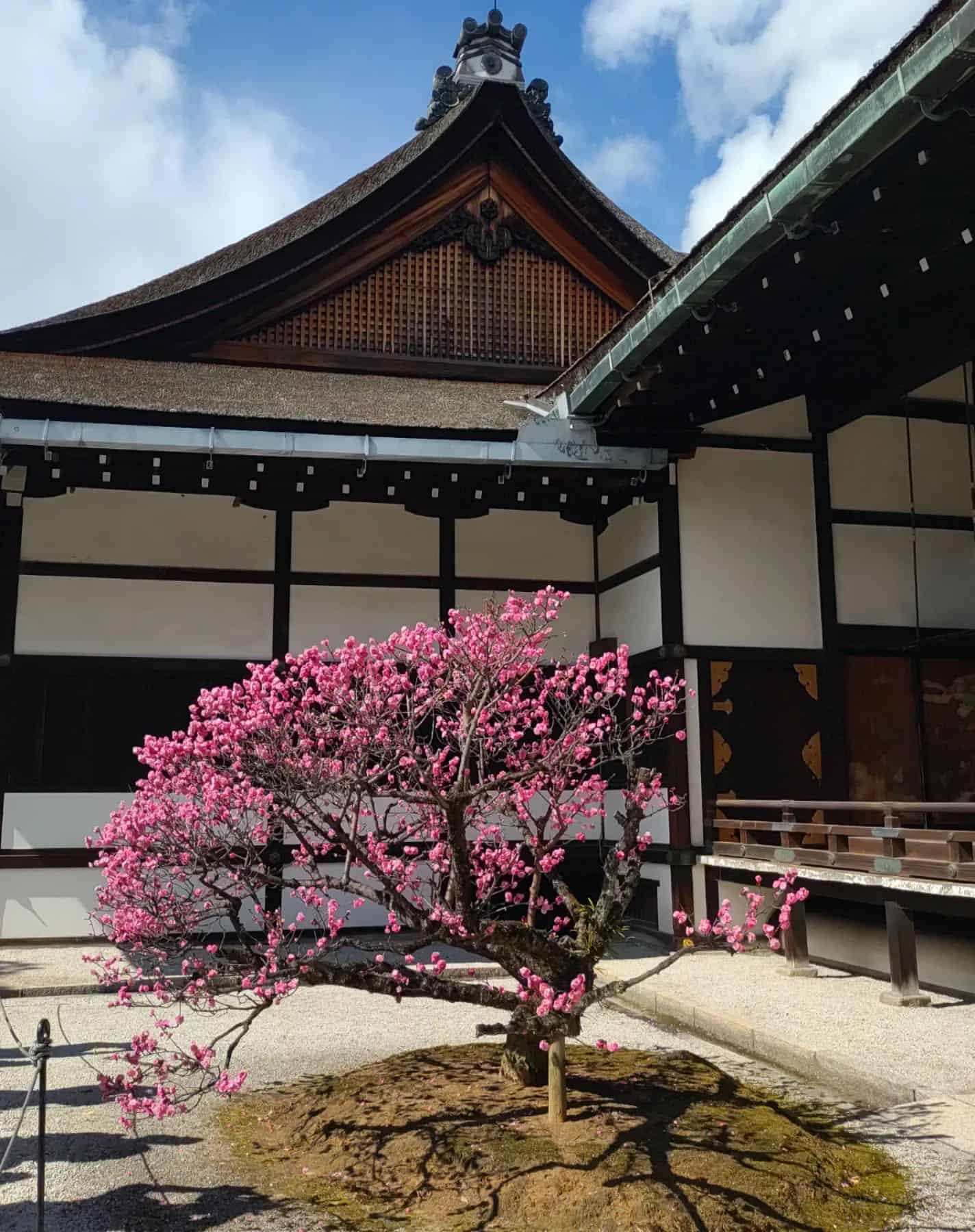 Imperial Palace, Japan