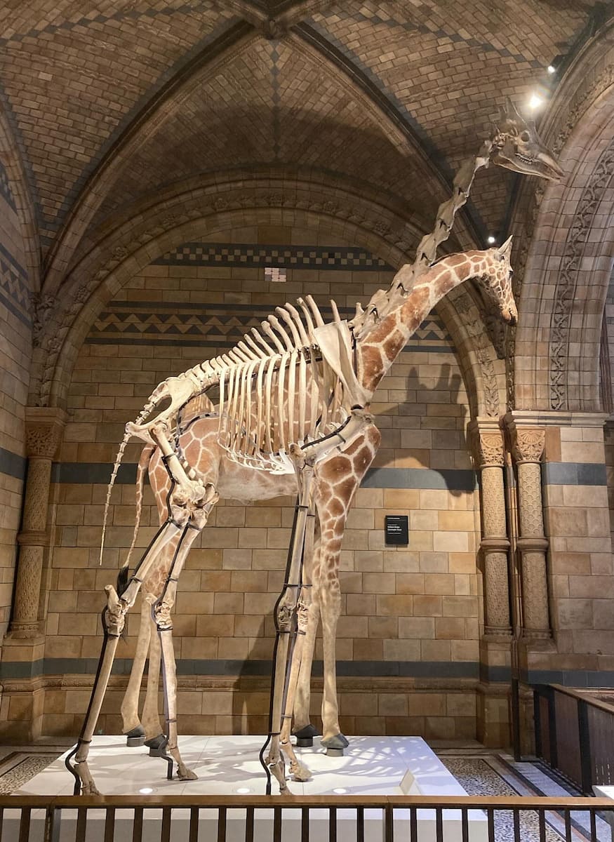 Natural History Museum, London