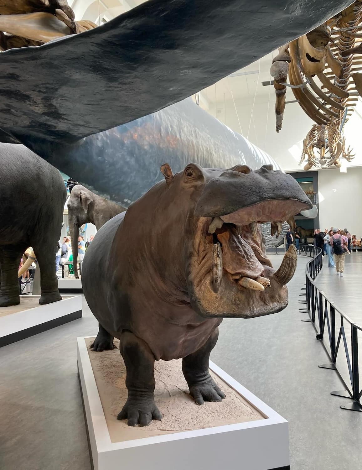 Natural History Museum, London