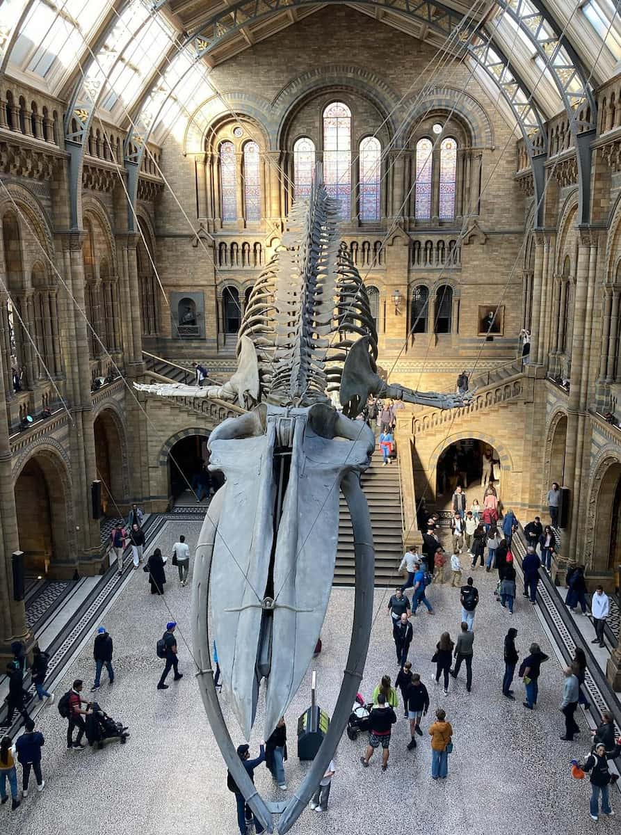 Natural History Museum, London