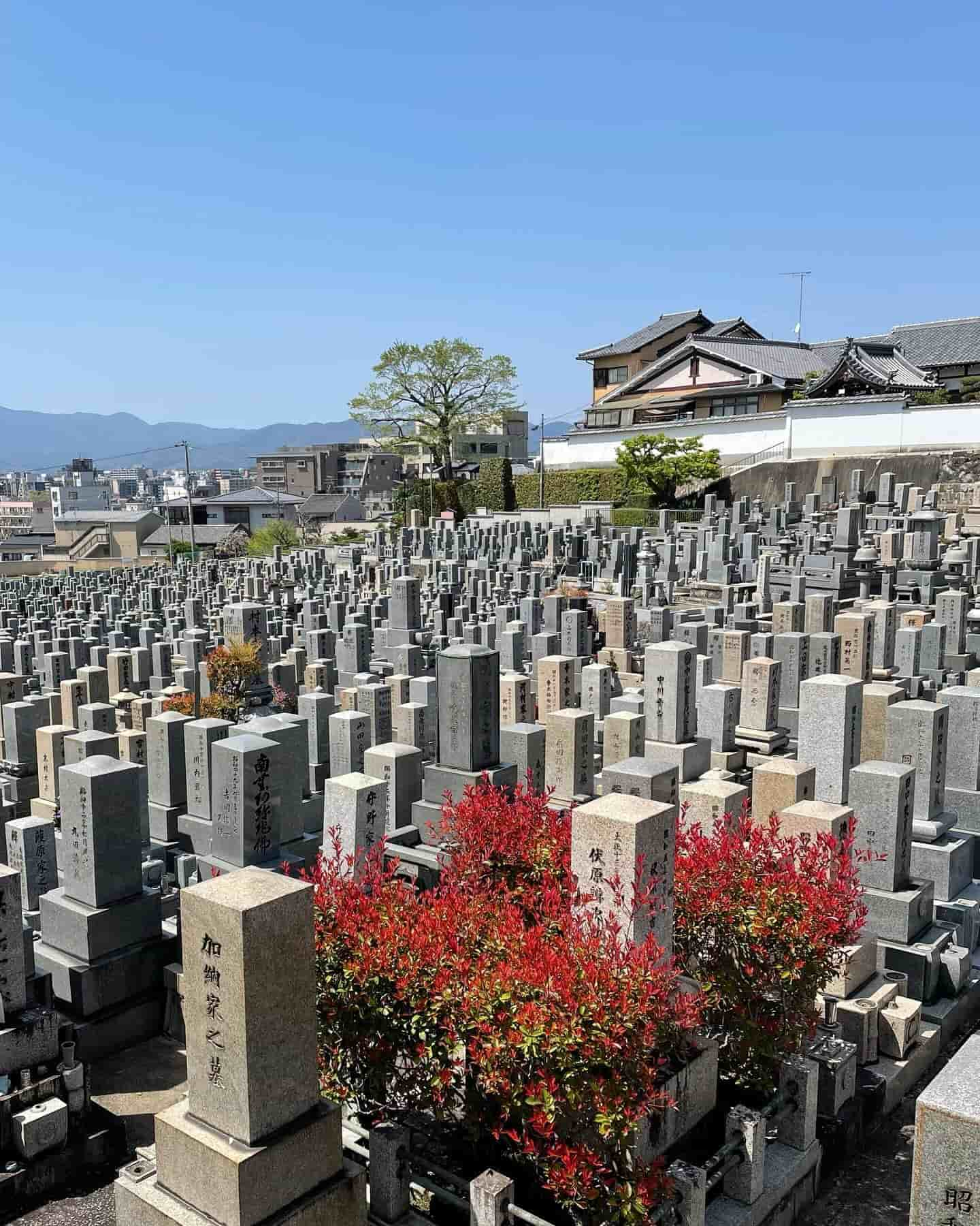 Near Sanjusangendo Temple, Japan