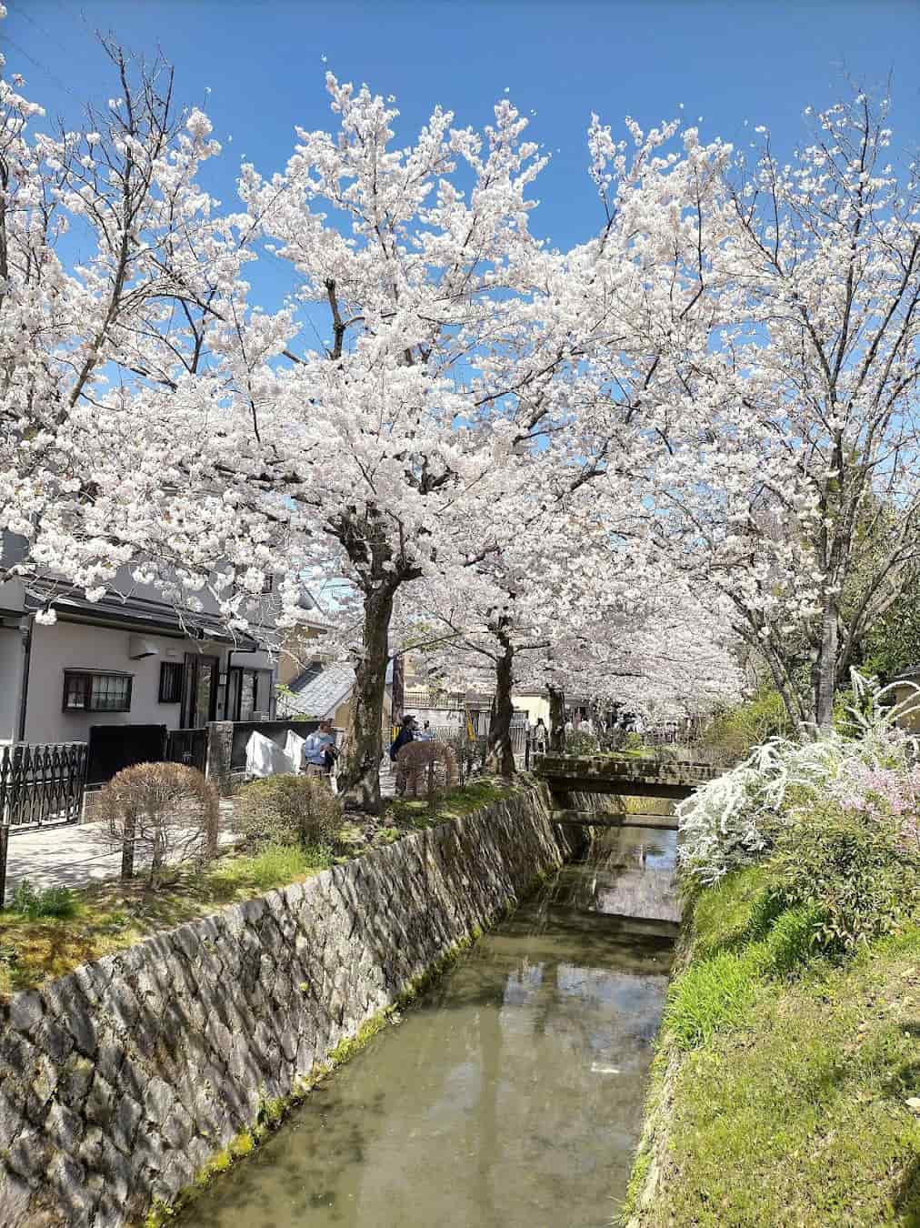 Philosopher's Path, Japan