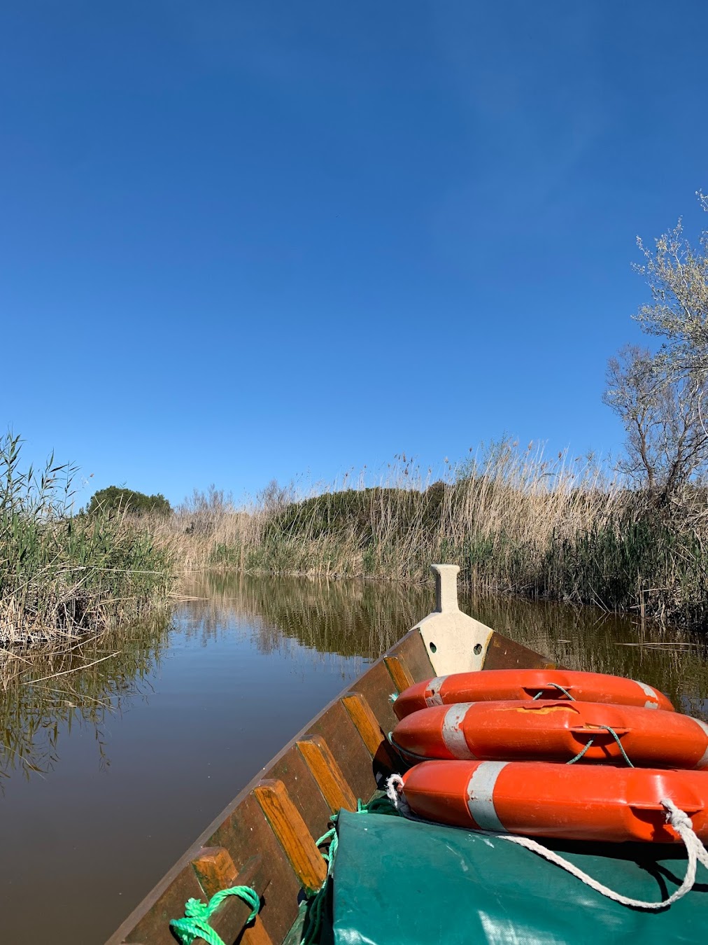 Albufera Natural Park Rent Boat, Spain