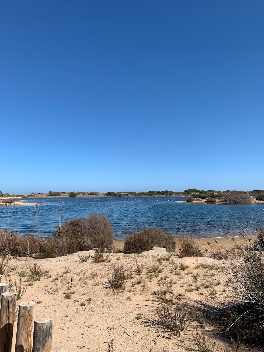 Albufera Natural, Spain