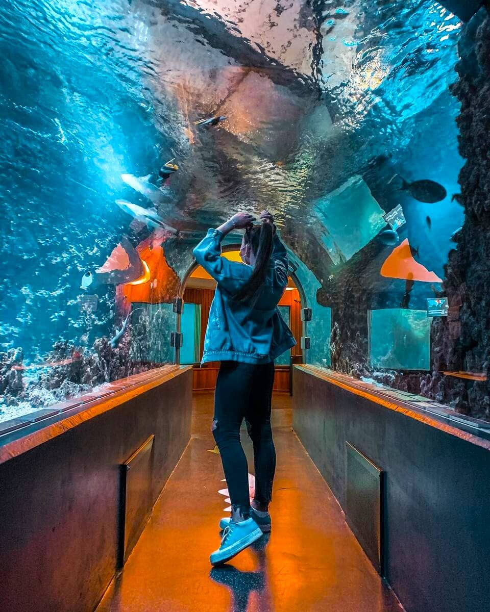 Aquarium, Bergen