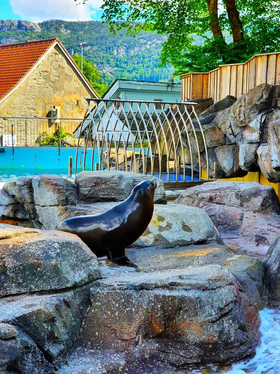 Aquarium, Bergen