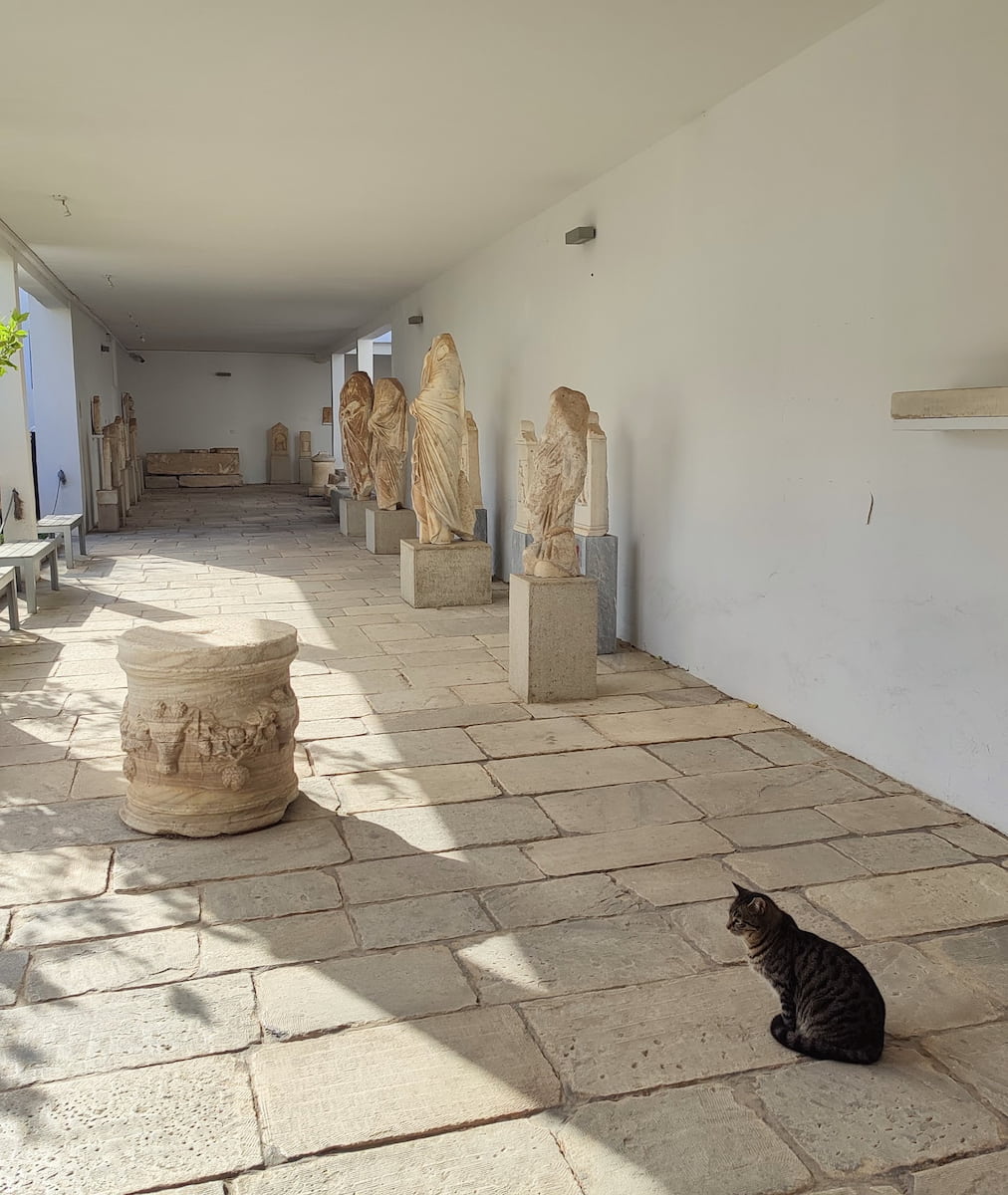 Archaeological Museum of Mykonos