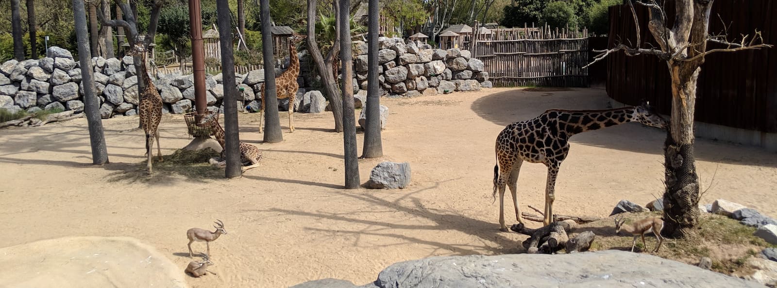 Barcelona Zoo