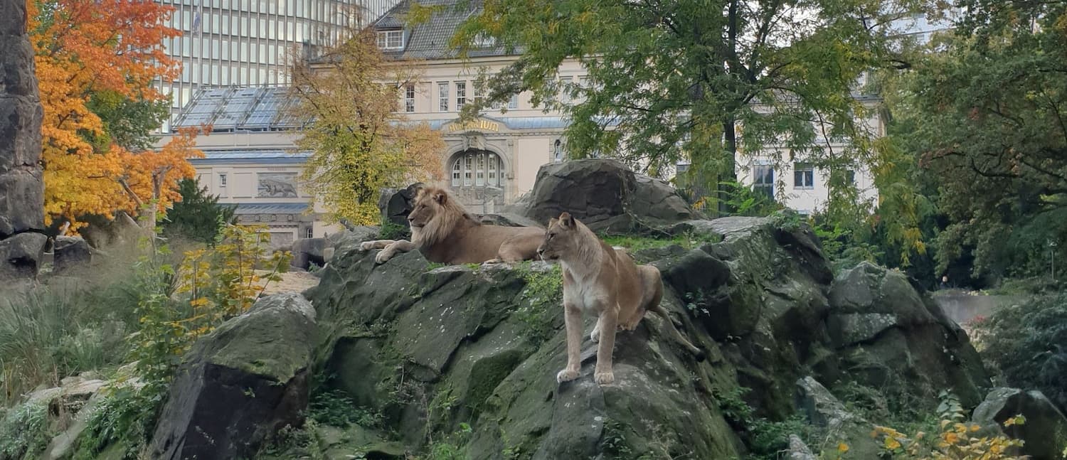 Berlin Zoo