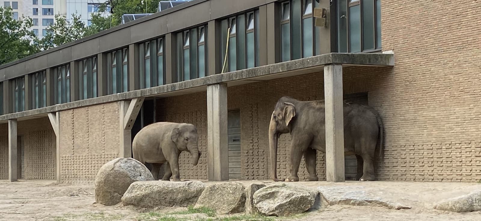 Berlin Zoo