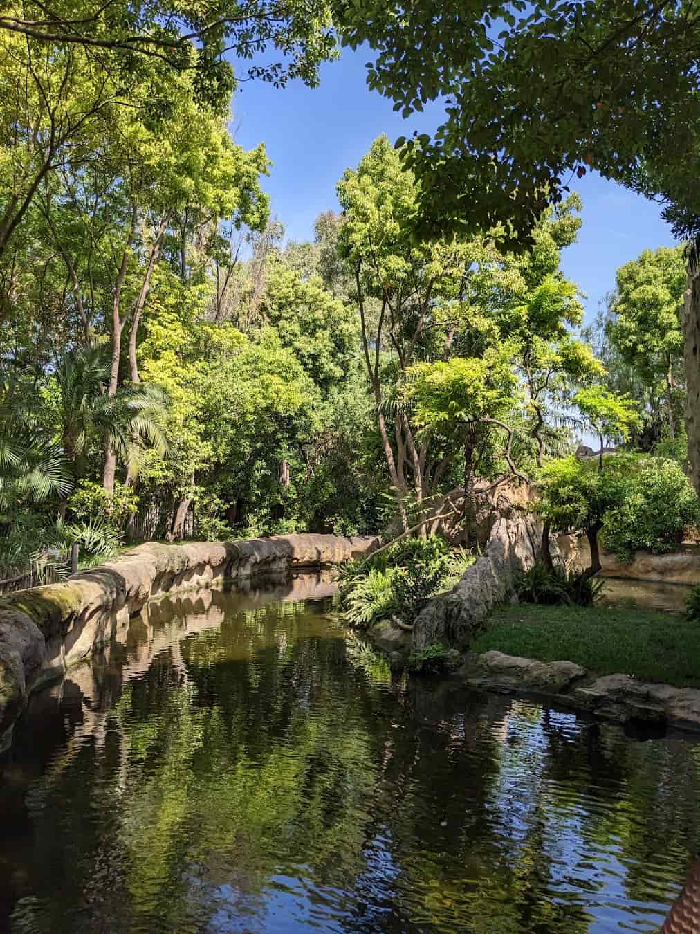 Bioparc Valencia Pond, Spain