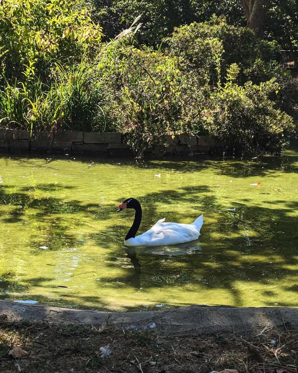 Birmingham Zoo