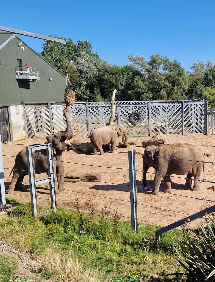 Blackpool Zoo