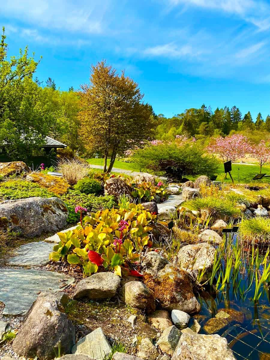 Botanical Garden, Bergen