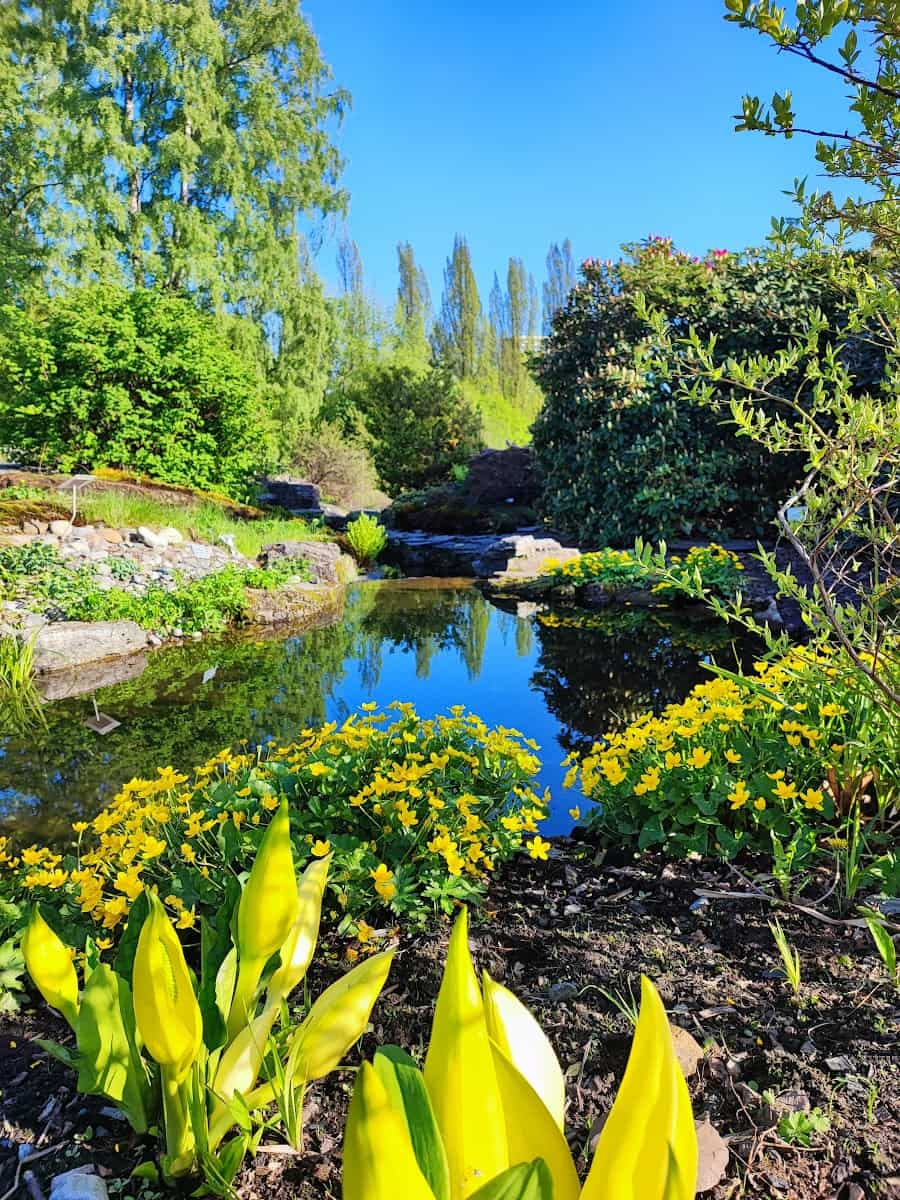 Botanical Garden, Oslo