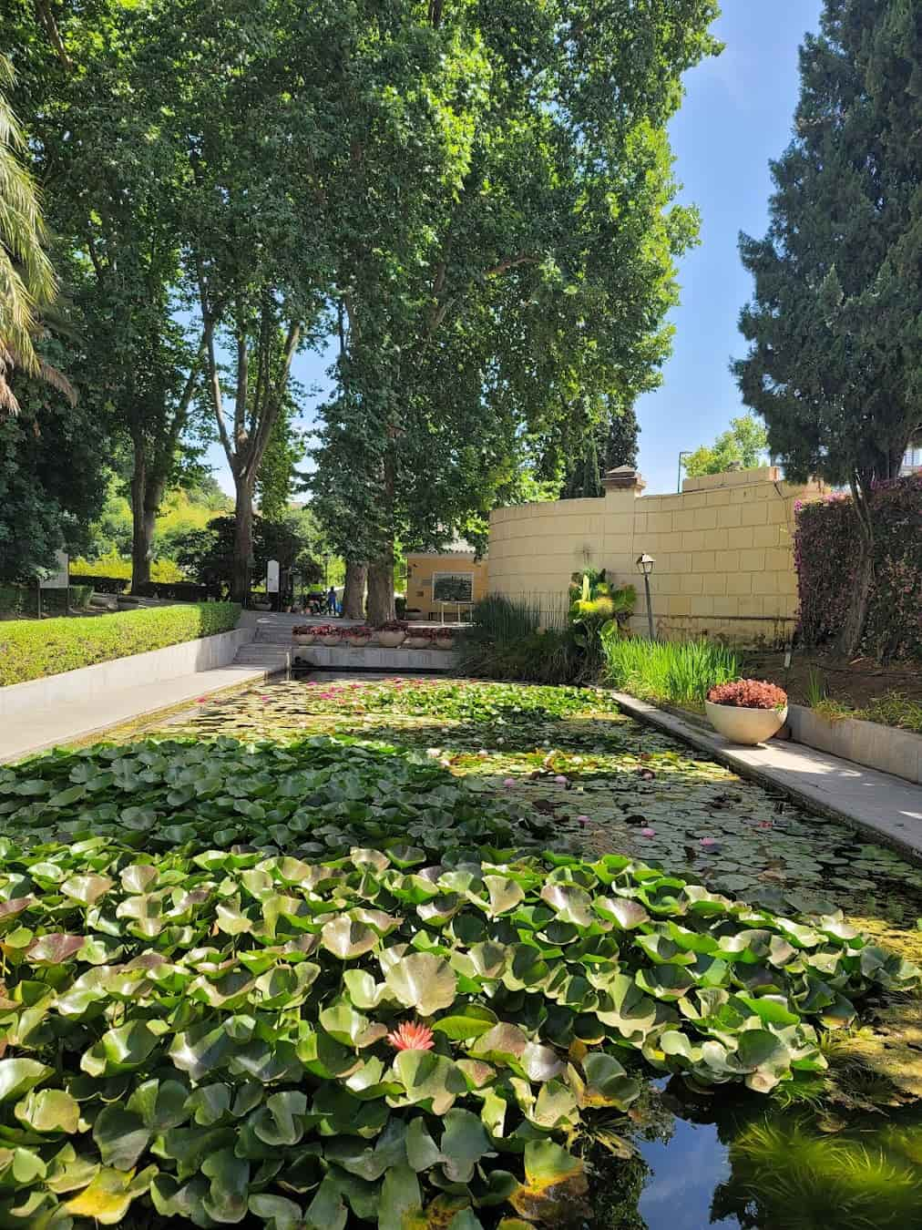 Botanical Gardens Lake, Spain