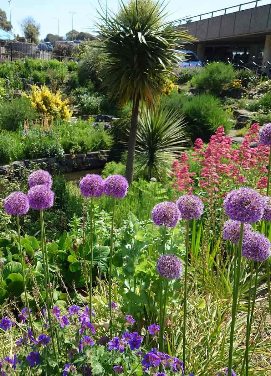 Bournemouth Gardens Spring