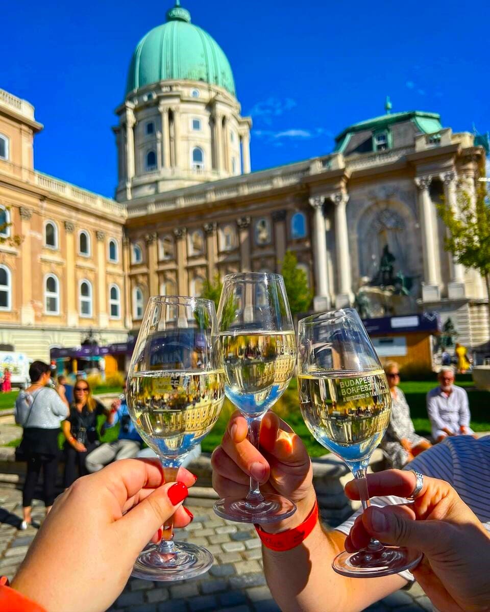 Budapest Wine Festival, Budapest