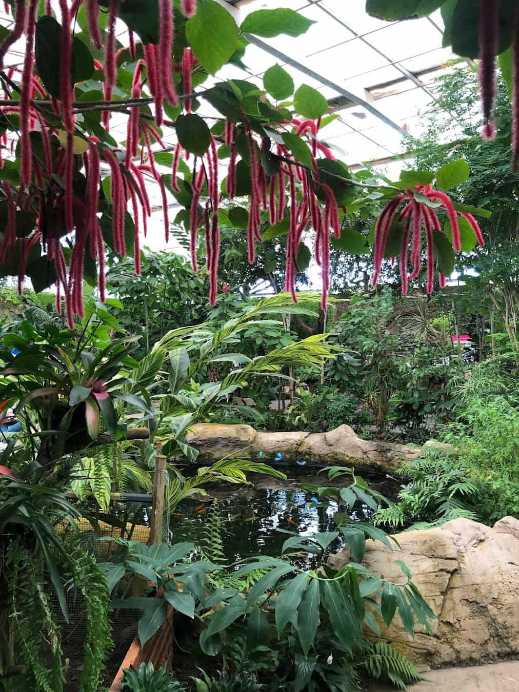 Butterfly Park Inside, Spain