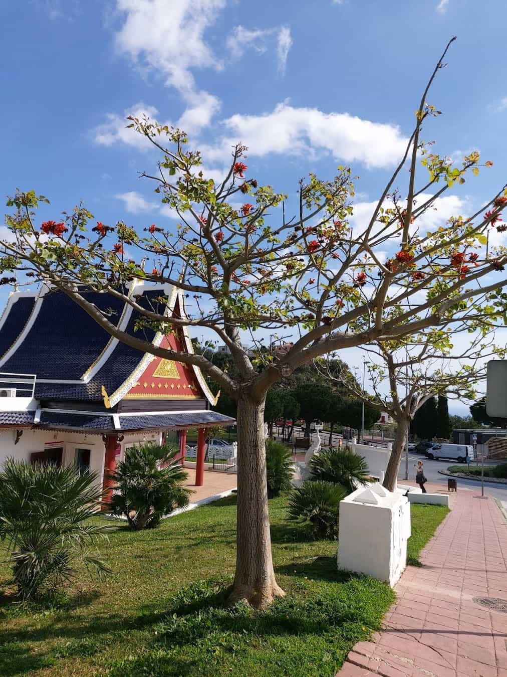 Butterfly Park Tree, Spain