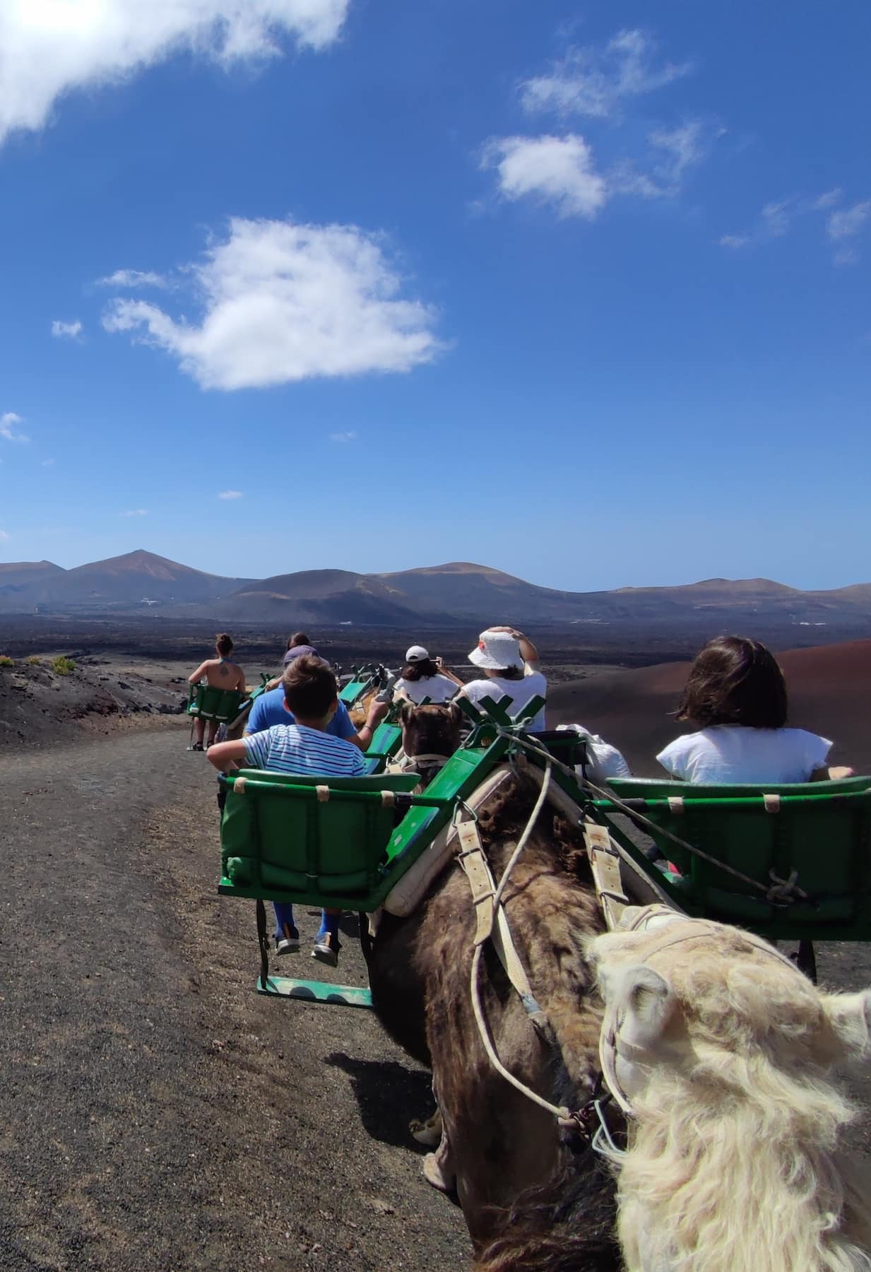 Camel Ride, Lanzarote