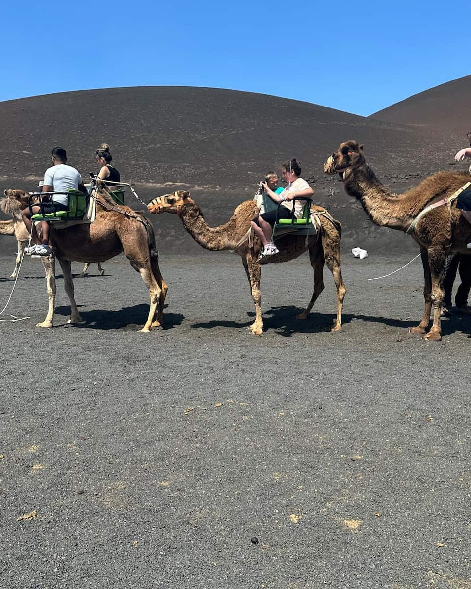 Camel Ride, Lanzarote