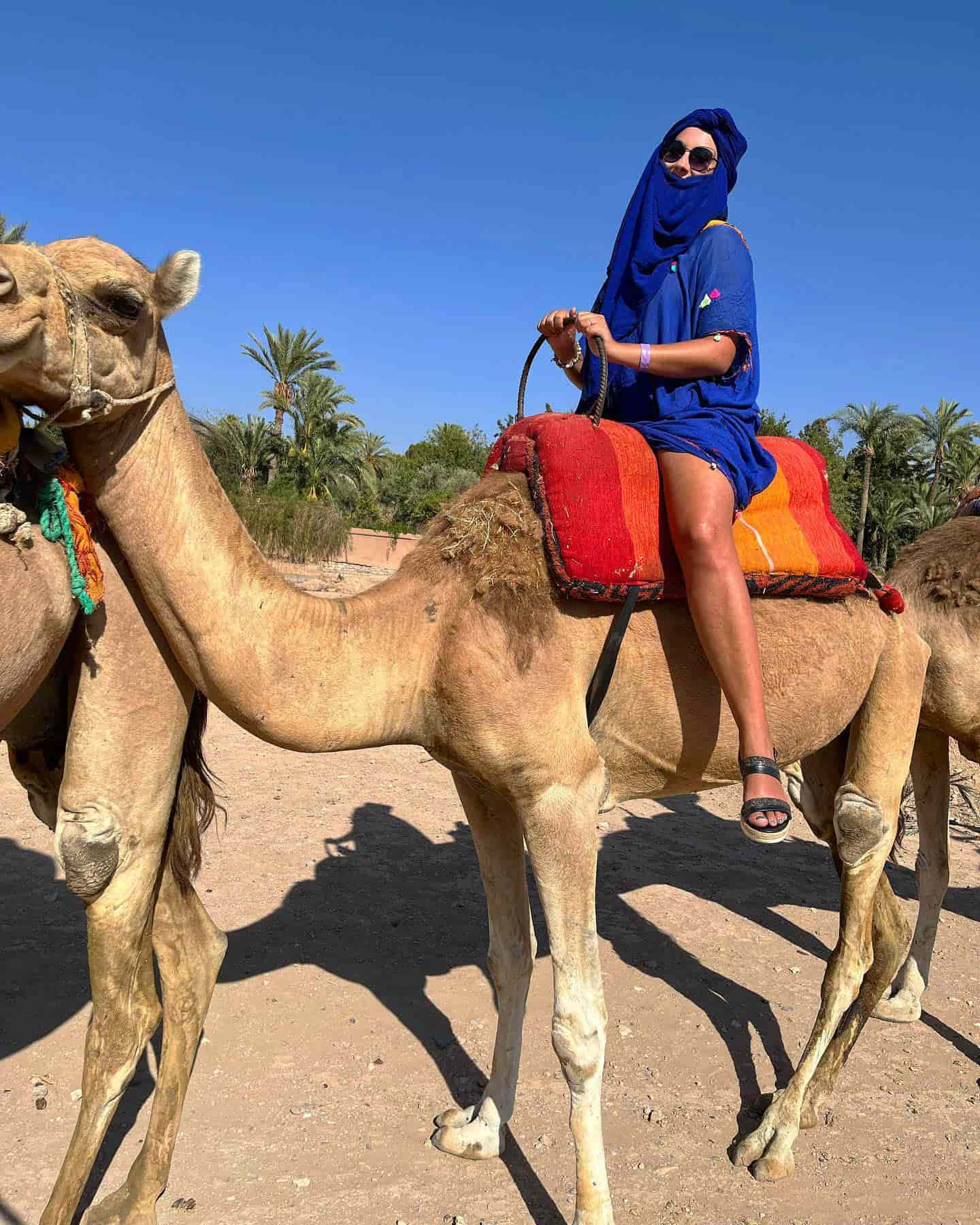 Camel Rides, Marrakech