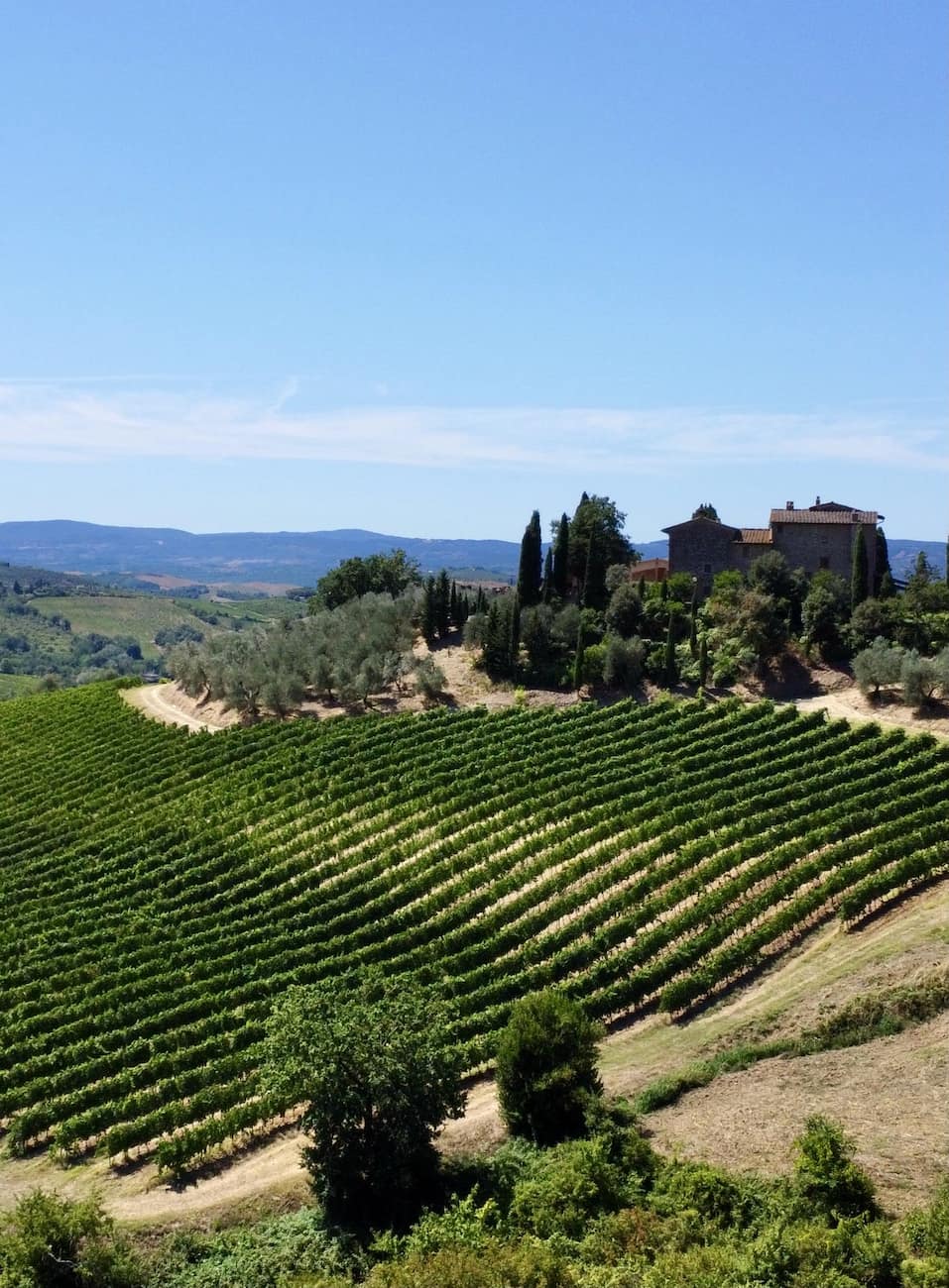 Chianti wine region, Florence