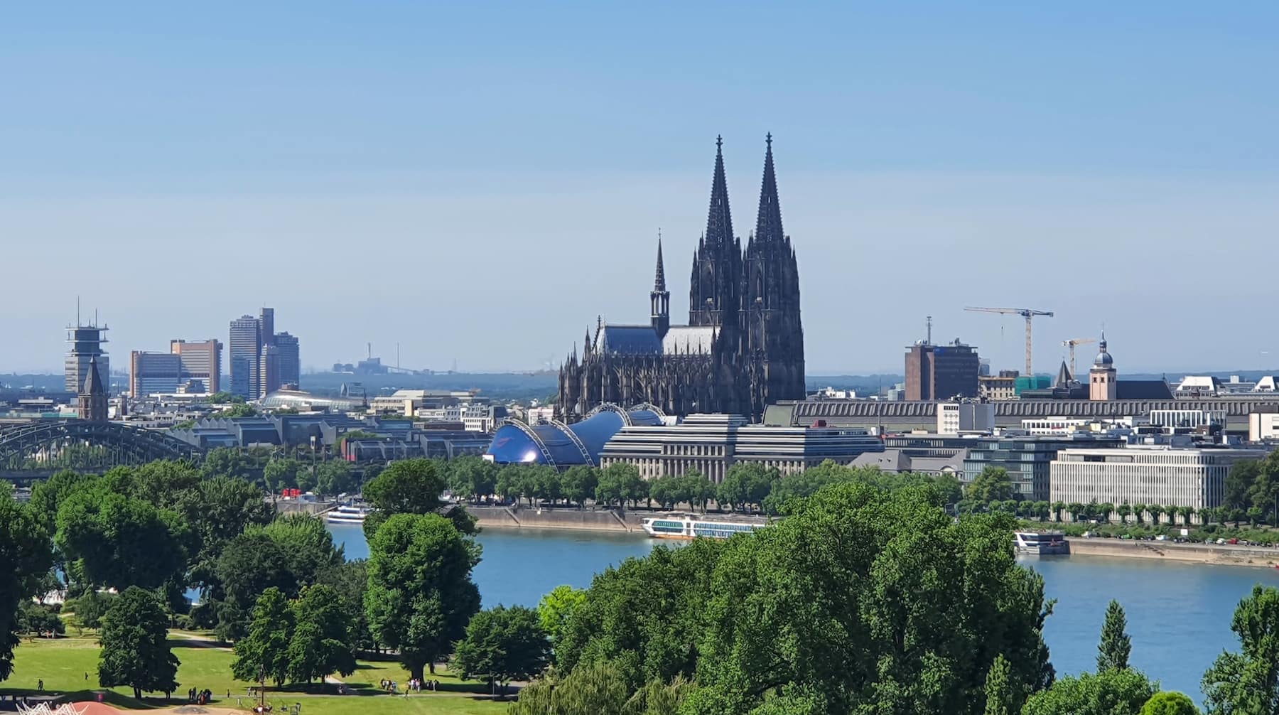 Cologne