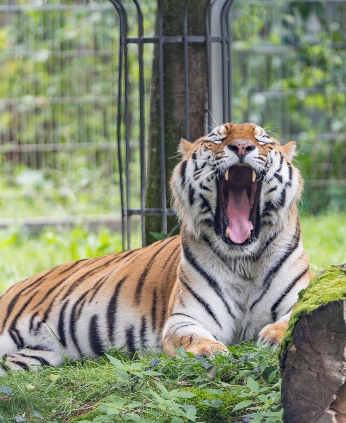 Cologne Zoo