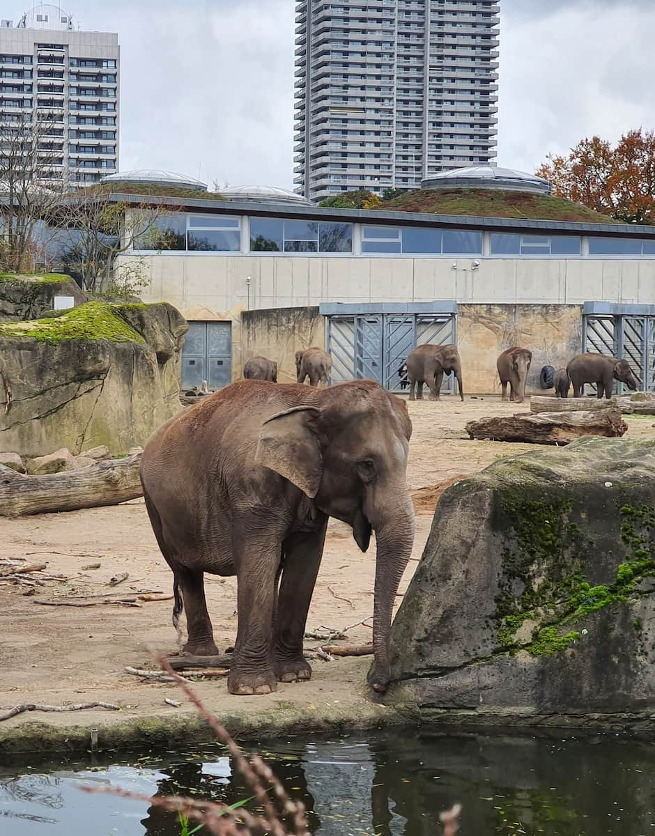 Cologne Zoo