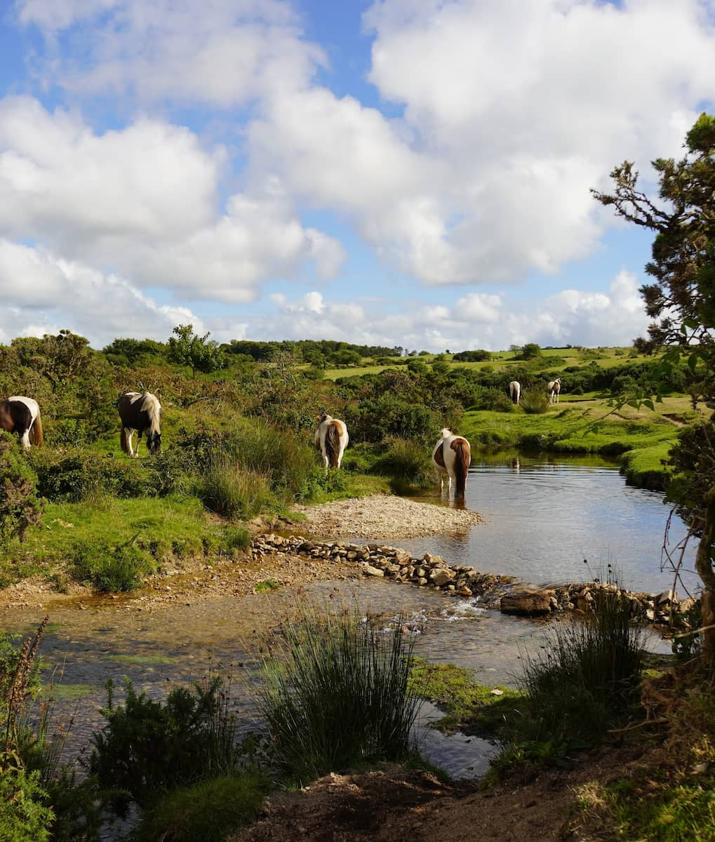 Cornwall, Bodmin Moor