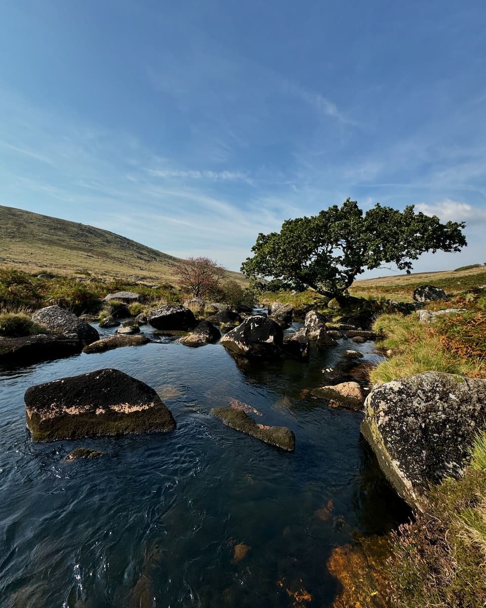 Cornwall, Dartmoor National Park