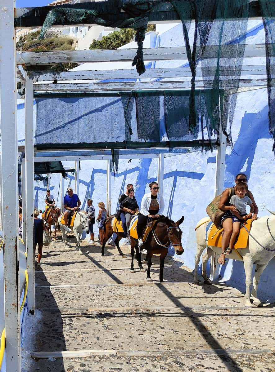 Santorini Donkey Rescue