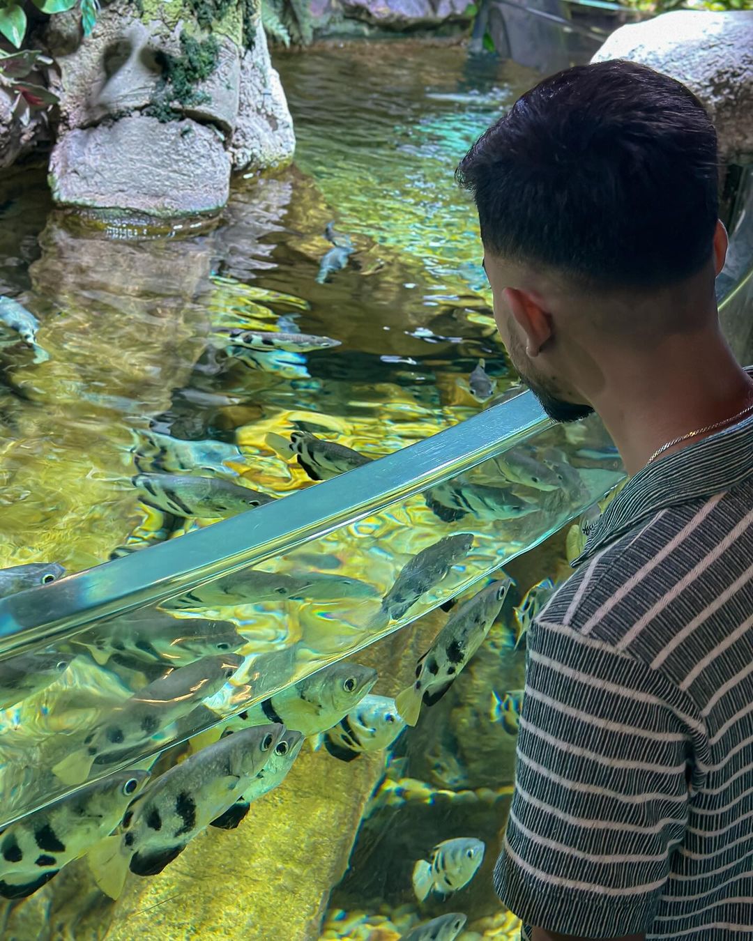 Dubai Aquarium