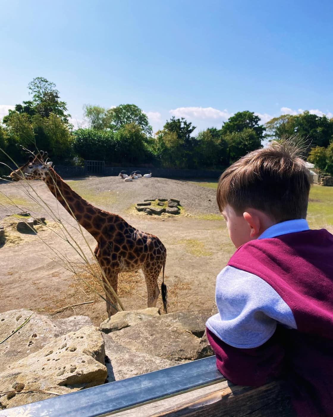 Dublin Zoo