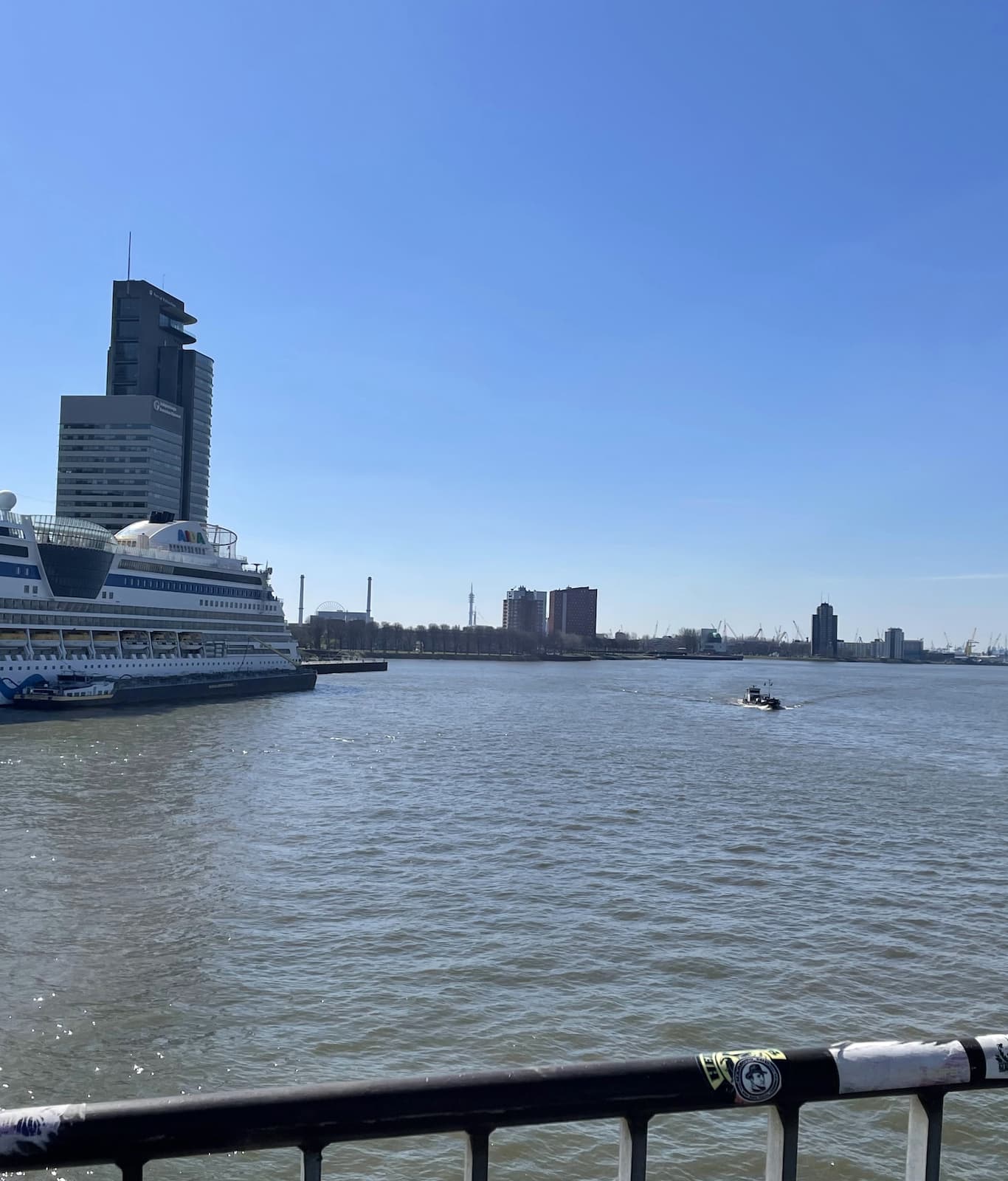 Erasmus Bridge