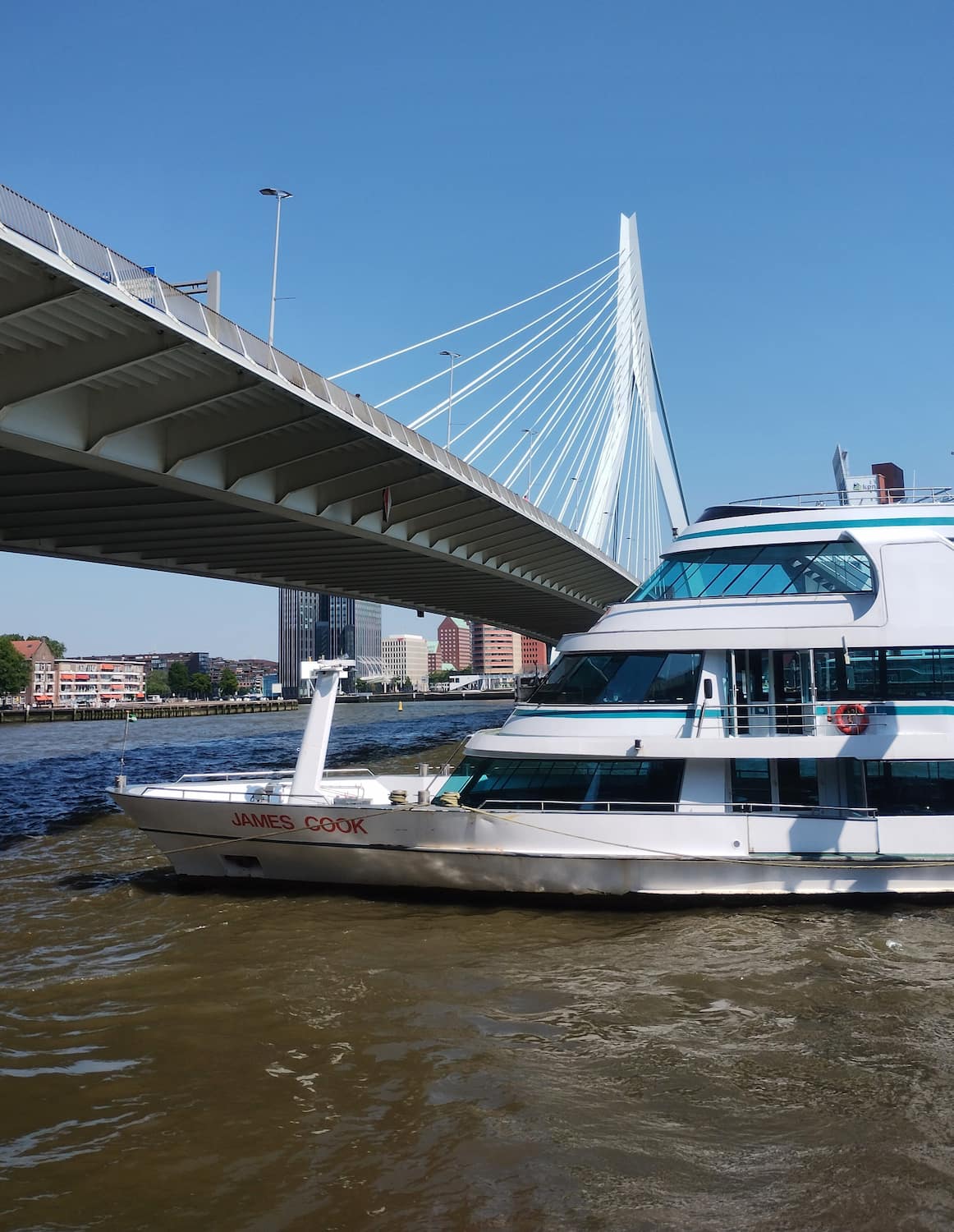 Erasmus Bridge