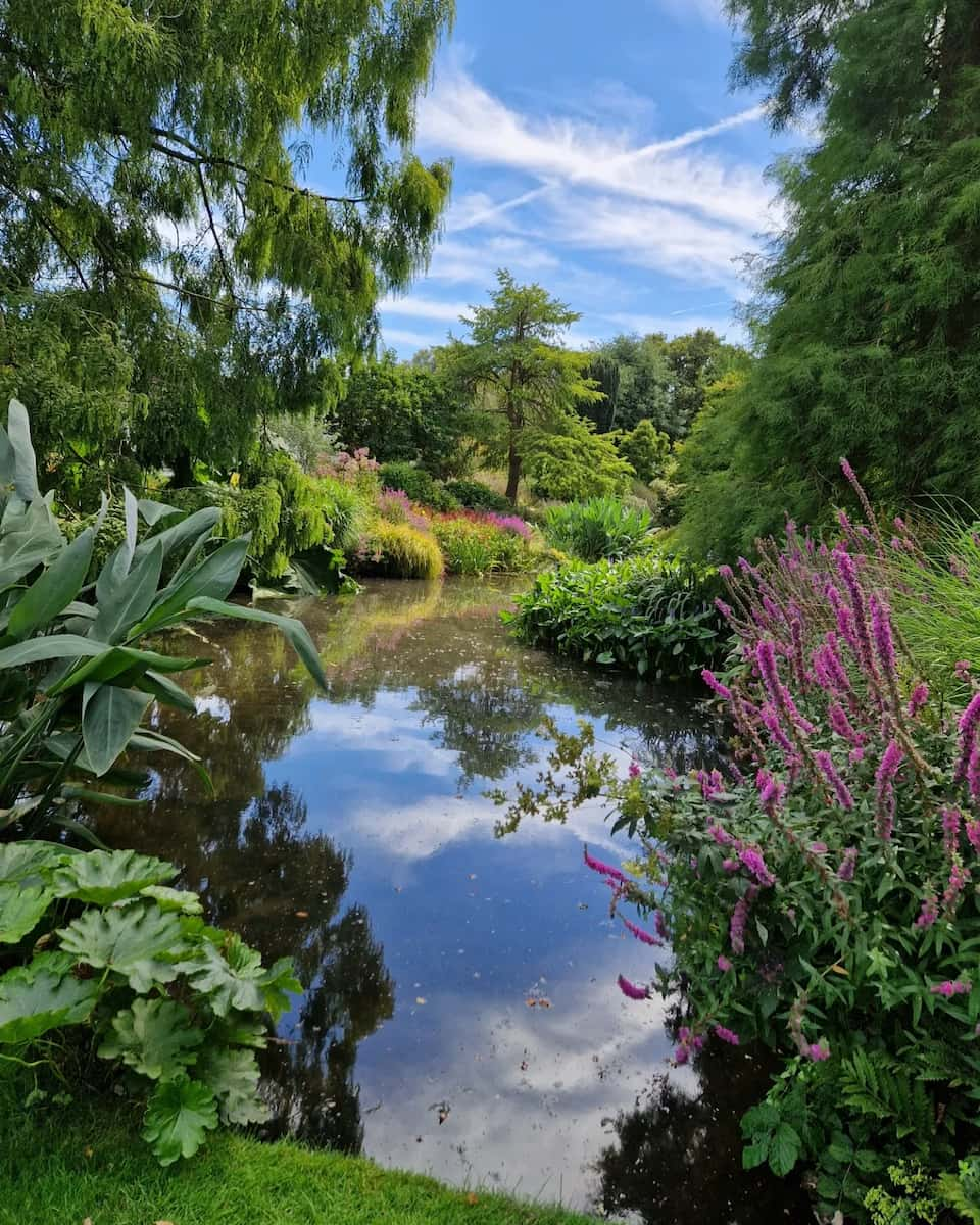 Essex: Beth Chatto Gardens