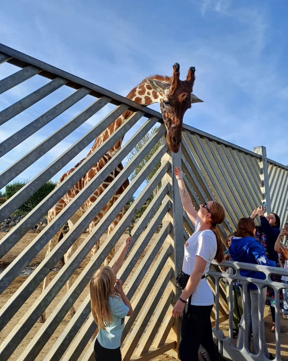 Essex: Colchester Zoo