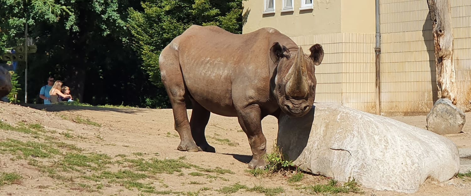 Frankfurt Zoo