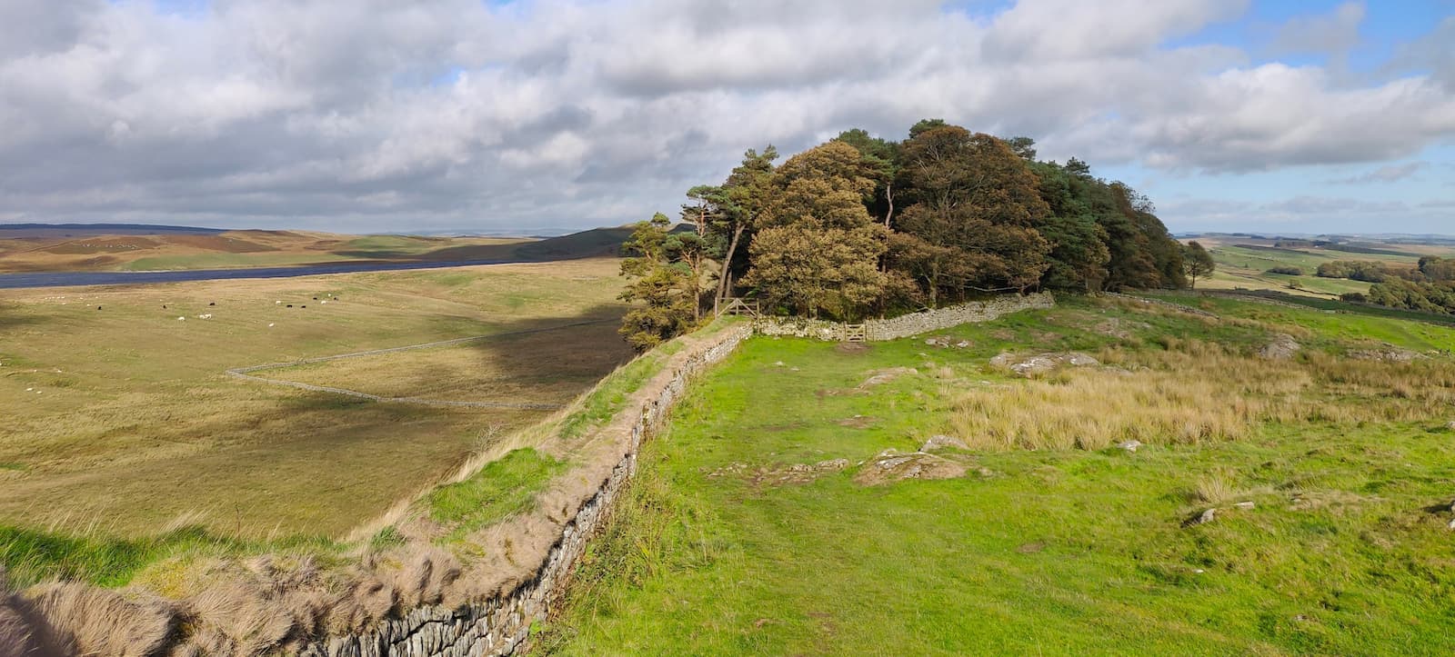 Hadrian's Wall