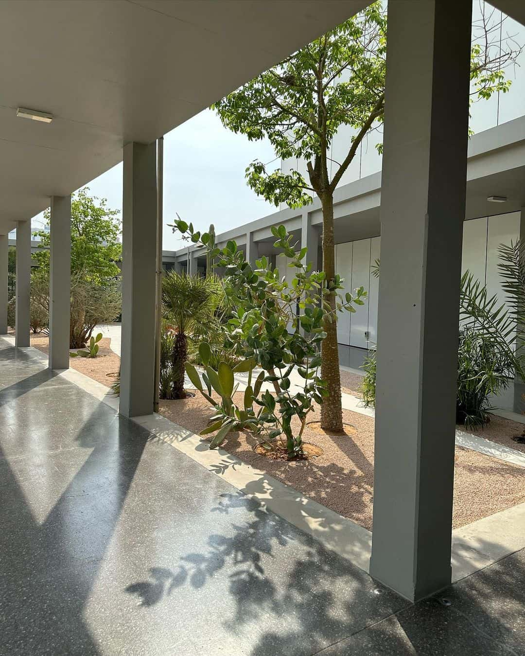 Jameel Arts Centre Vegetation, Dubai