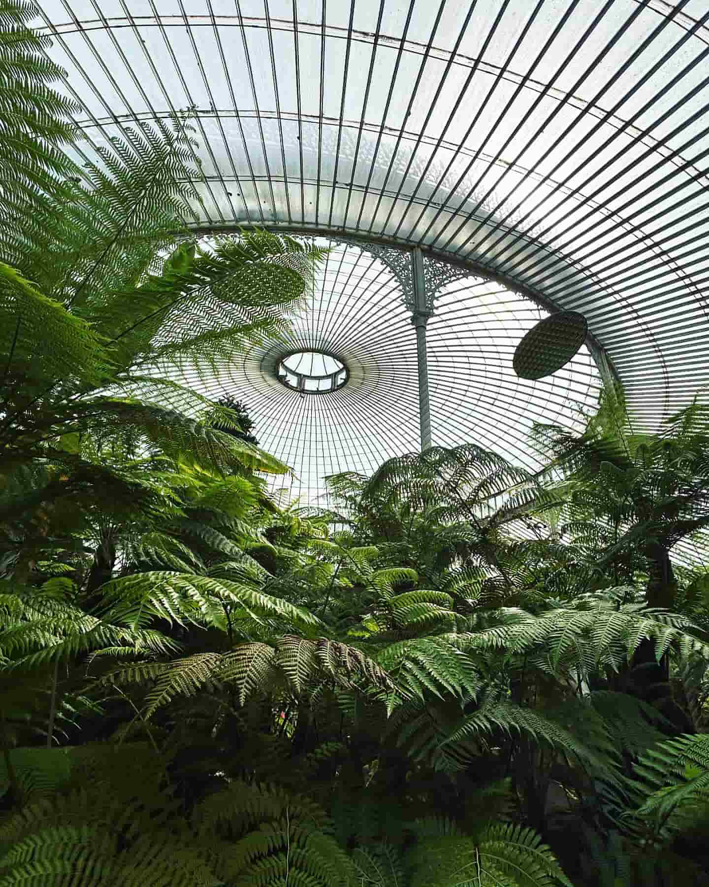 Kibble Palace, Glasgow