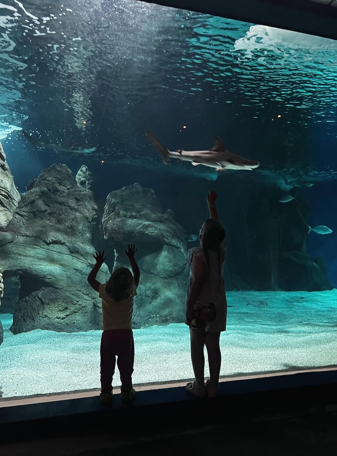 Lanzarote Aquarium