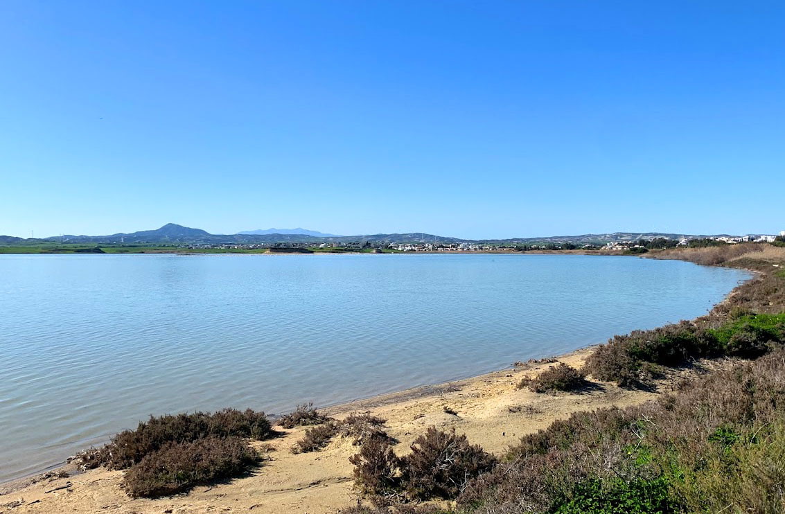 Larnaca Salt Lake, Cyprus