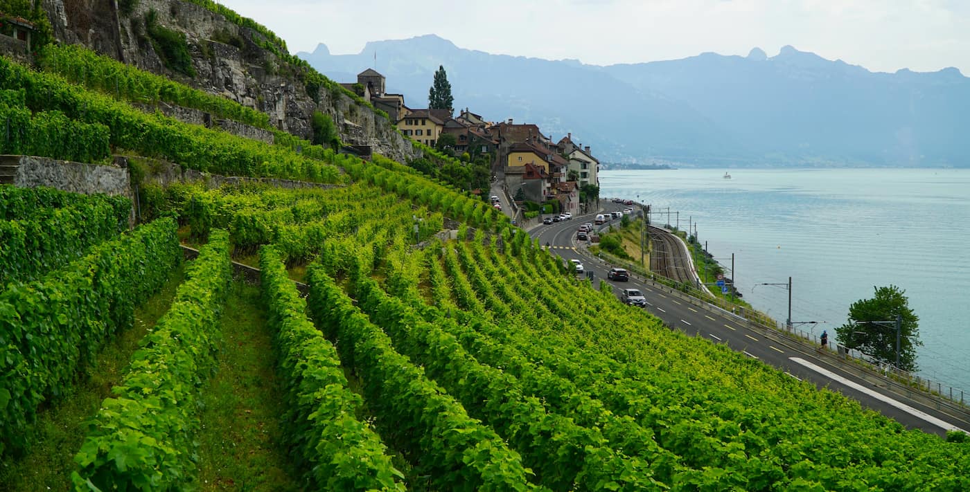 Lavaux Vineyards